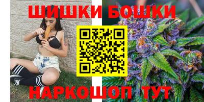 индика Анжеро-Судженск