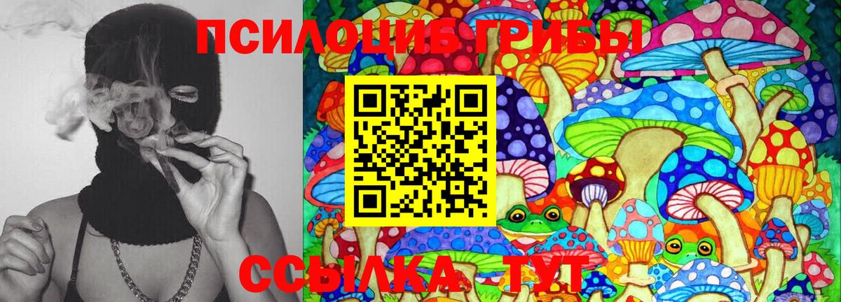 Псилоцибиновые грибы прущие грибы Большой Камень
