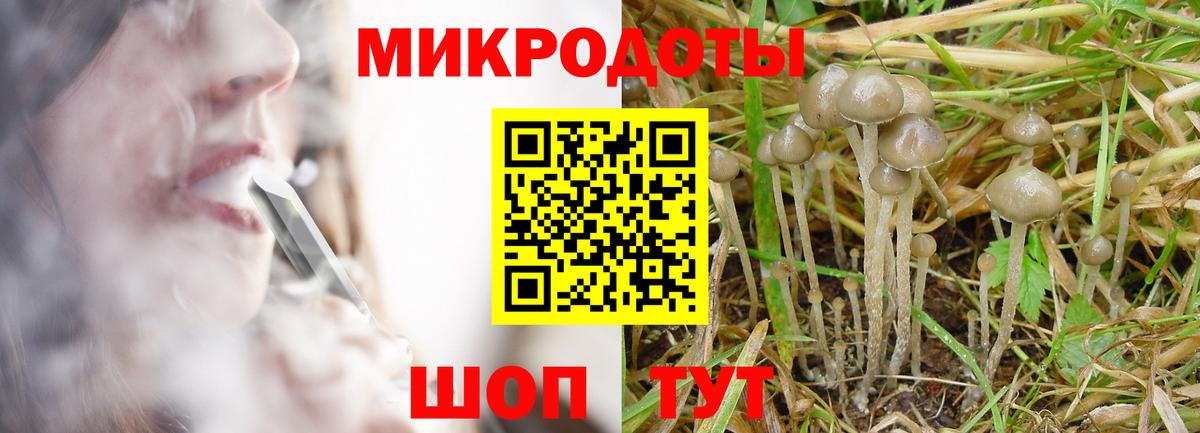 цена   Галлюциногенные грибы GOLDEN TEACHER  Вход с VPN  Галлюциногенные грибы Psilocybine cubensis  Большой Камень 