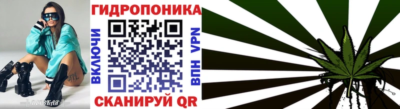 Каннабис сатива Большой Камень