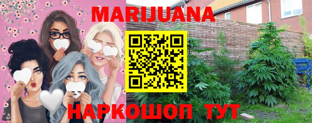 Канабис конопля Большой Камень